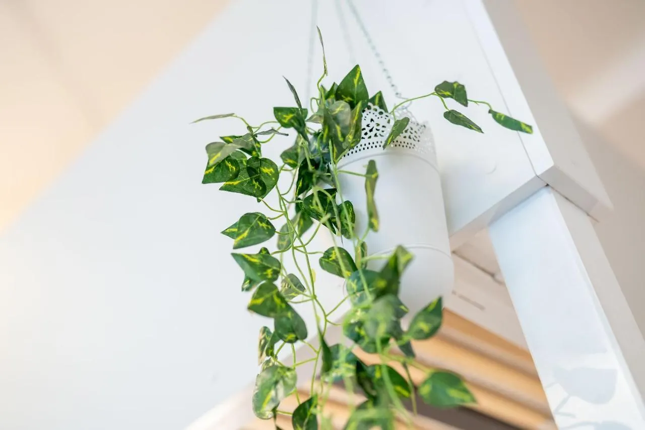 Ferienwohnung Cozy Modern Nest In The Heart Of Vienna With Netflix 0*,